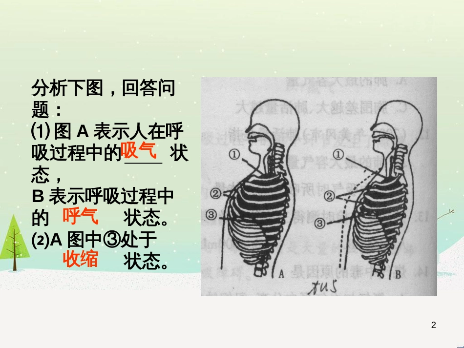 八年级生物下册 13.1 生物的分类课件1 北京版 (464)_第2页