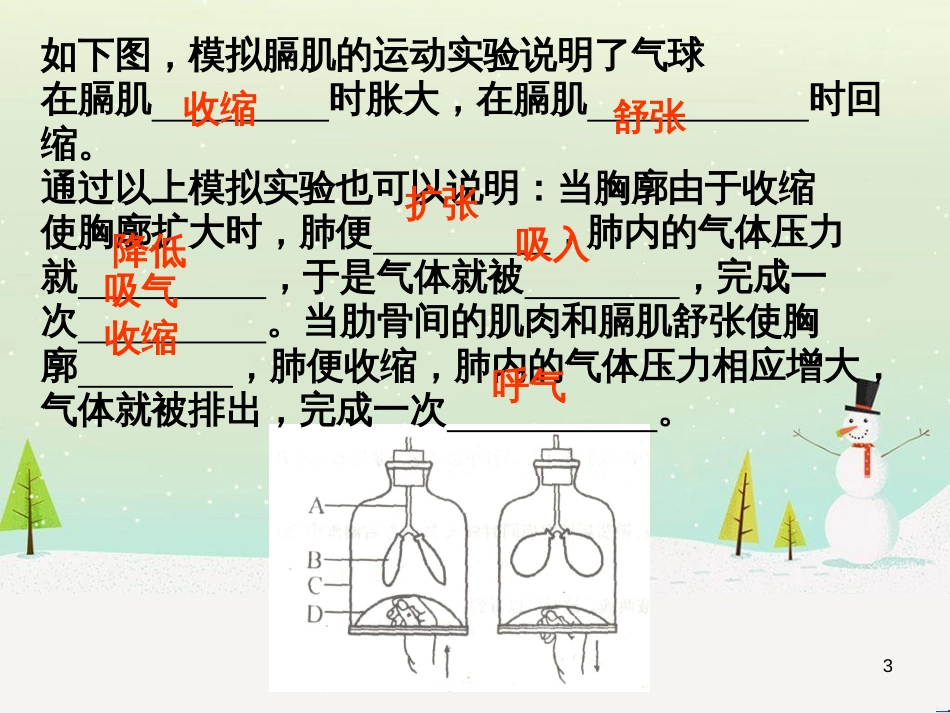 八年级生物下册 13.1 生物的分类课件1 北京版 (464)_第3页
