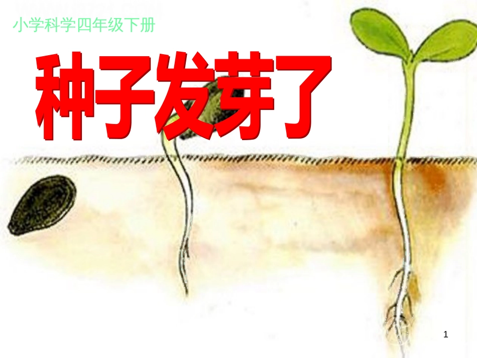 八年级生物下册 13.1 生物的分类课件1 北京版 (453)_第1页