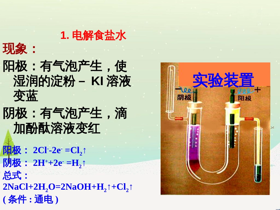 八年级生物上册 5.1.4鱼课件 （新版）新人教版 (9)_第3页