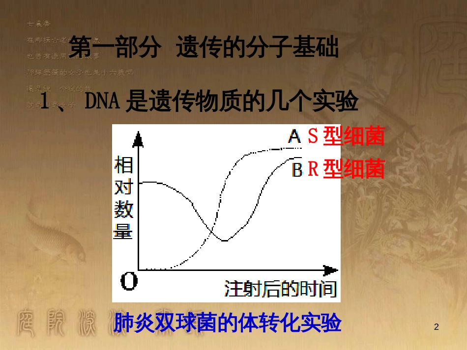 高三生物二轮复习 实验设计题的解题策略课件 (4)_第2页