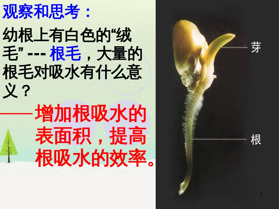 八年级物理上册 1.3《活动降落伞比赛》课件 （新版）教科版 (203)_第2页