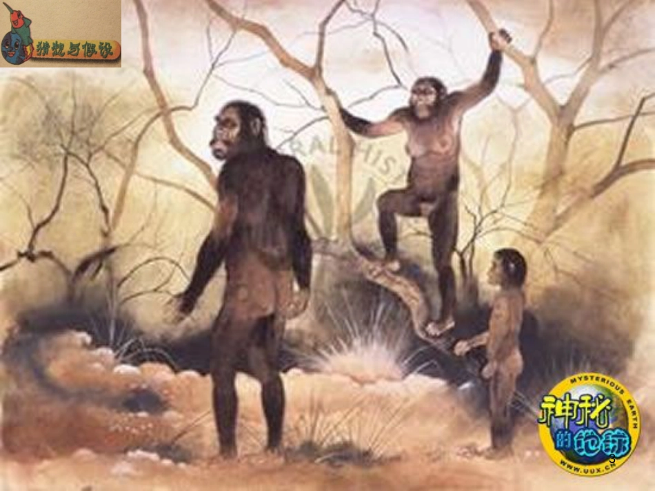 八年级生物下册 13.1 生物的分类课件1 北京版 (928)_第3页