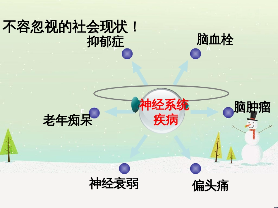 八年级生物上册 6.16.1《人体的神经调节》第1课时课件2 （新版）苏科版_第1页