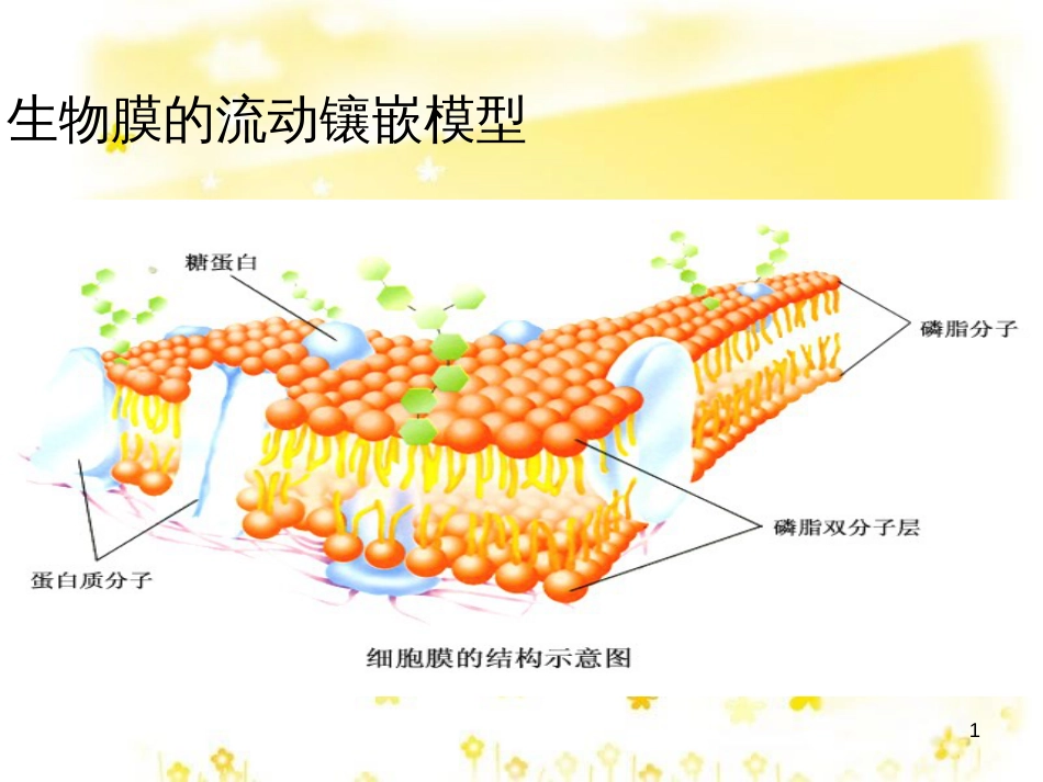 高中生物 第四章 细胞的物质输入和输出 第3节《物质跨膜运输的方式》课件 新人教版必修1_第1页