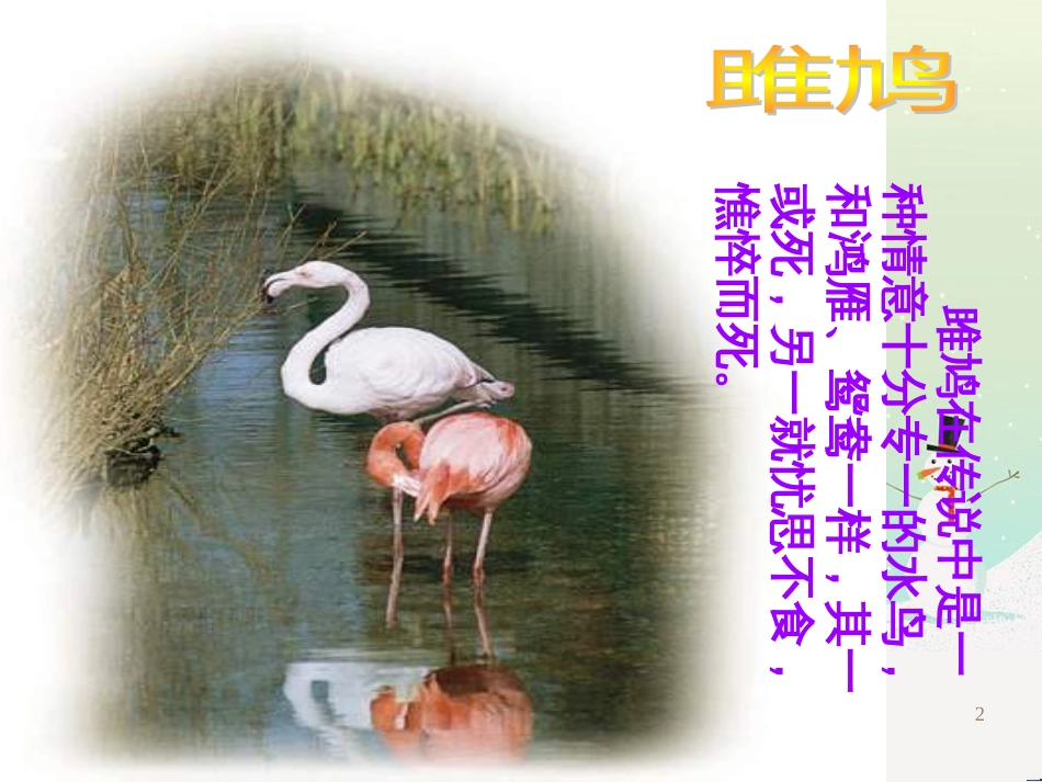 八年级物理上册 1.3《活动降落伞比赛》课件 （新版）教科版 (400)_第2页