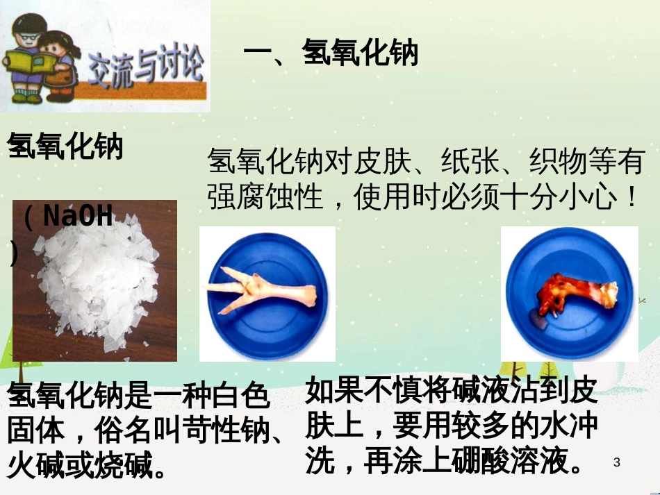 八年级生物下册 13.1 生物的分类课件1 北京版 (949)_第3页
