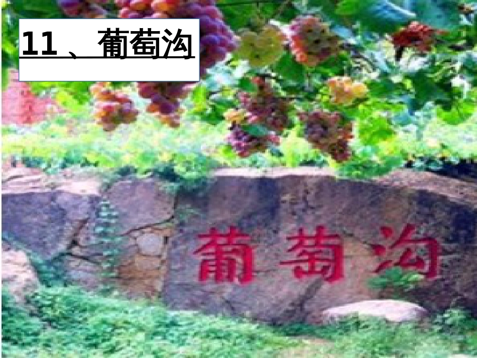 八年级物理上册 1.3《活动降落伞比赛》课件 (新版)教科版 (2982)_第1页