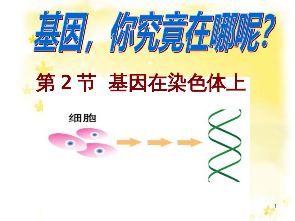 高中生物 第二章 基因和染色体的关系 2.2.1 基因在染色体上教学课件 新人教版必修2_第1页