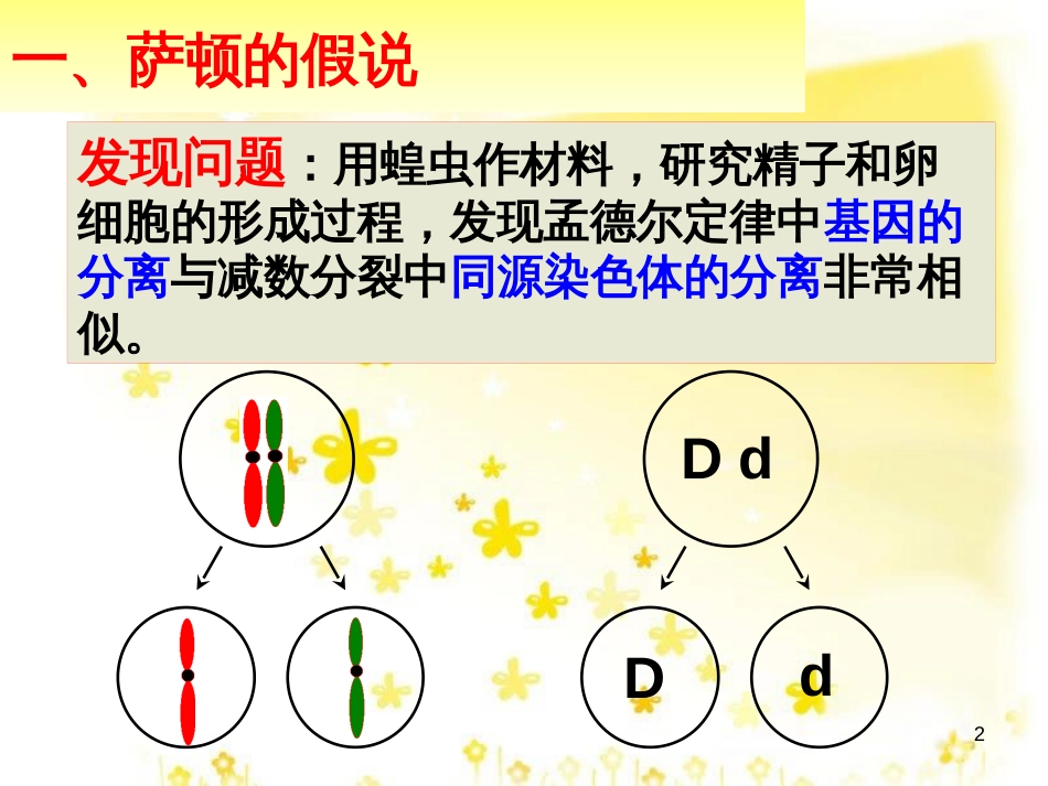 高中生物 第二章 基因和染色体的关系 2.2.1 基因在染色体上教学课件 新人教版必修2_第2页