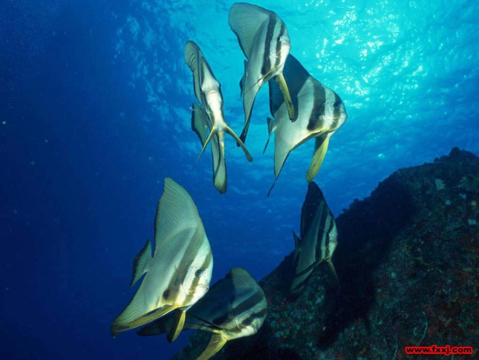 八年级物理上册 1.3《活动降落伞比赛》课件 （新版）教科版 (266)_第3页