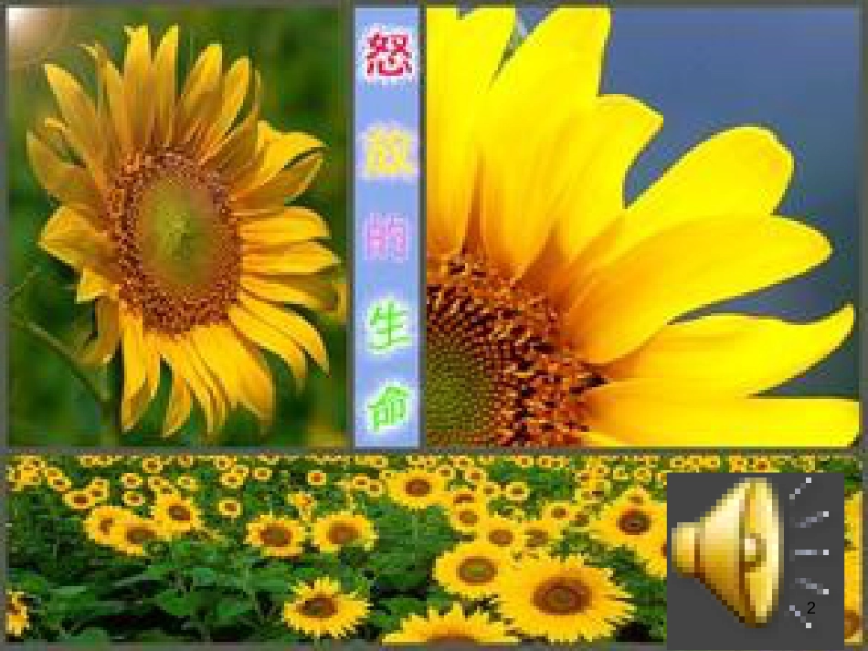 八年级物理上册 1.3《活动降落伞比赛》课件 （新版）教科版 (291)_第2页