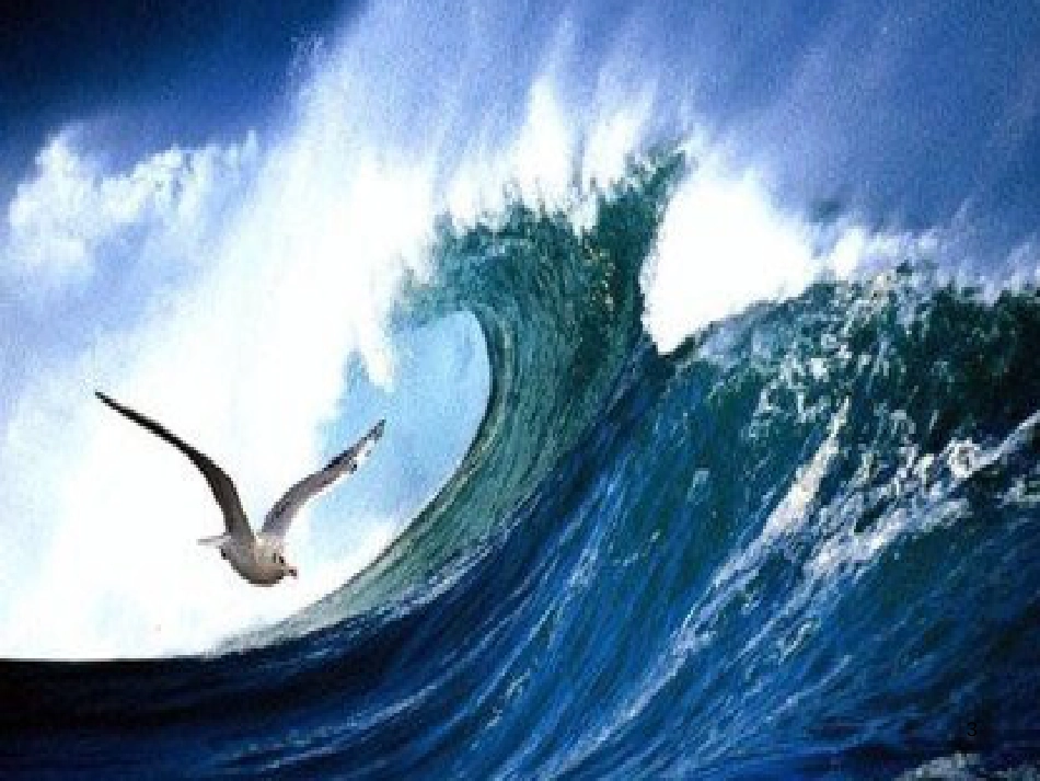 八年级物理上册 1.3《活动降落伞比赛》课件 （新版）教科版 (291)_第3页