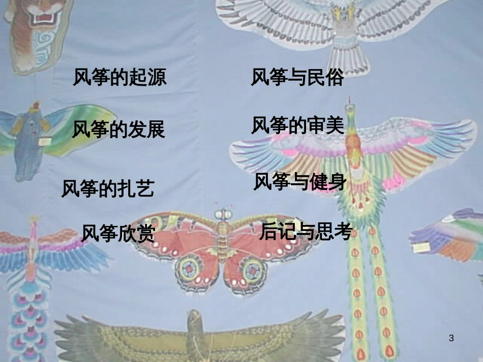 八年级生物下册 13.1 生物的分类课件1 北京版 (144)_第3页
