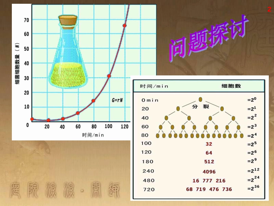 高中语文 11包身工课件 新人教版必修1 (28)_第2页