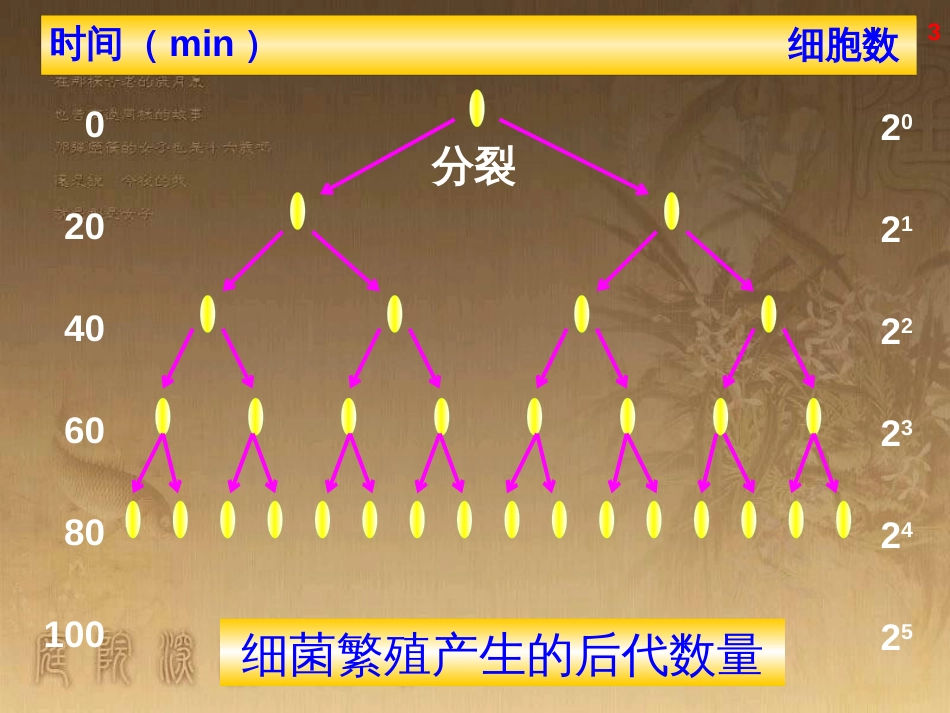 高中语文 11包身工课件 新人教版必修1 (28)_第3页
