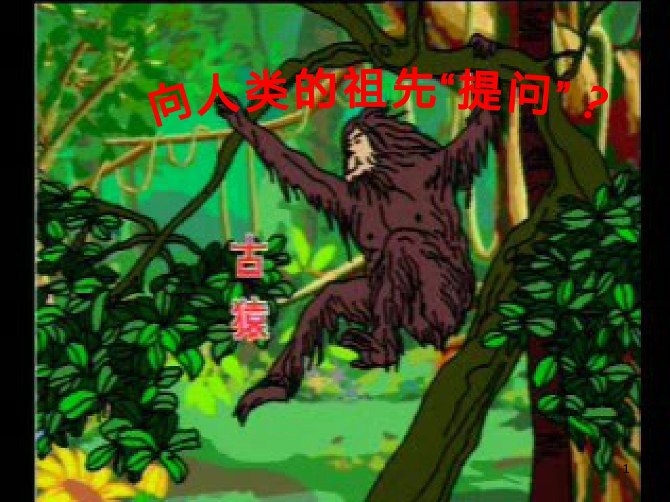 八年级生物下册 13.1 生物的分类课件1 北京版 (930)_第1页
