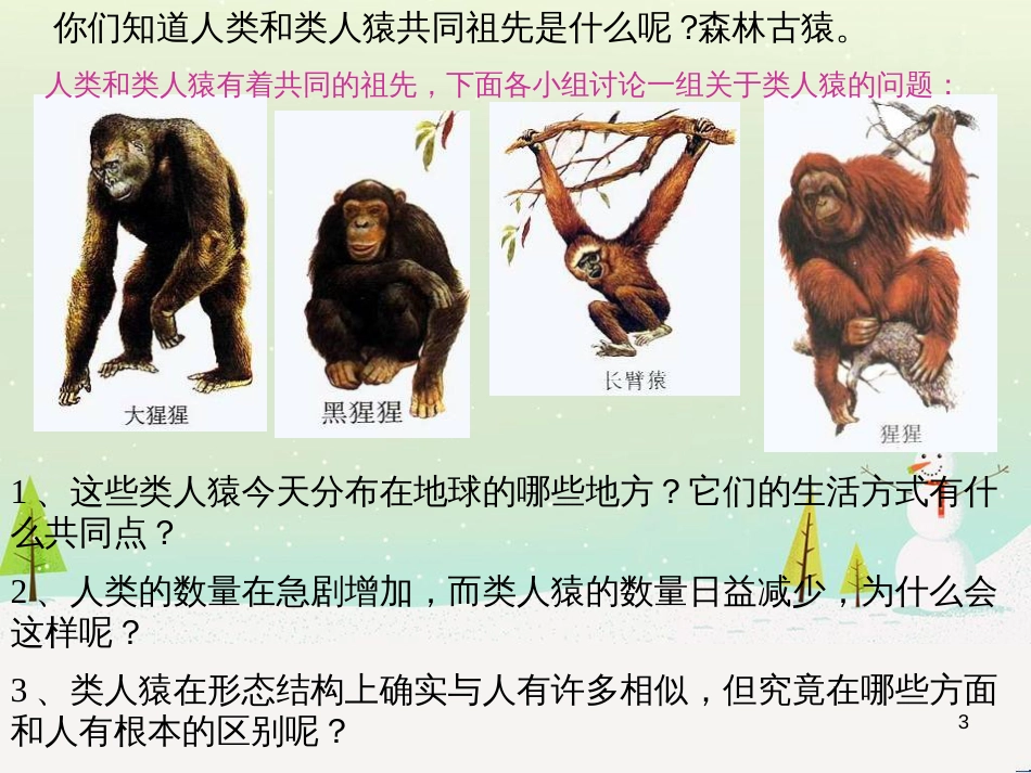 八年级生物下册 13.1 生物的分类课件1 北京版 (930)_第3页
