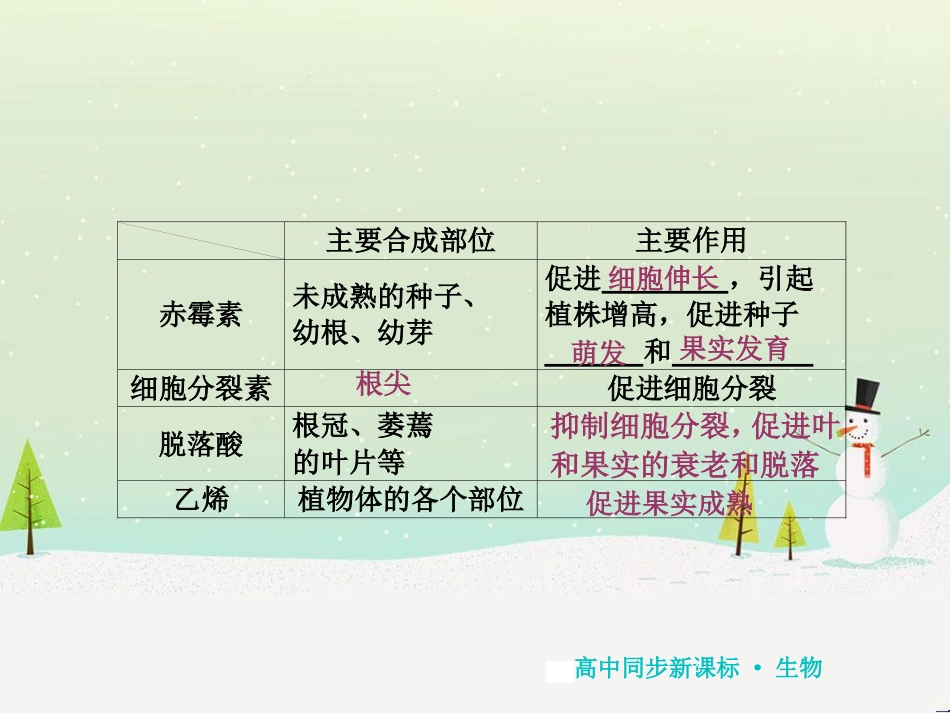 高中地理 第二章 第二节 森林的开发和保护——以亚马孙热带雨林为例课件 新人教版必修3 (229)_第2页