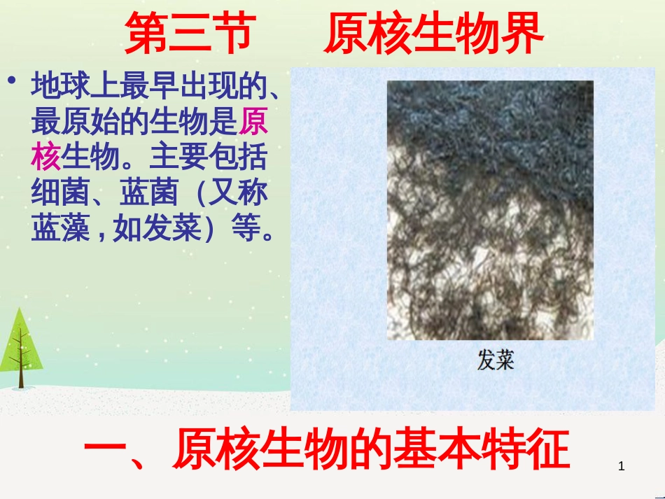 八年级生物下册 13.1 生物的分类课件1 北京版 (1303)_第1页