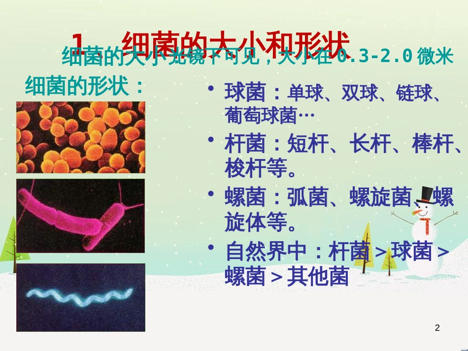 八年级生物下册 13.1 生物的分类课件1 北京版 (1303)_第2页