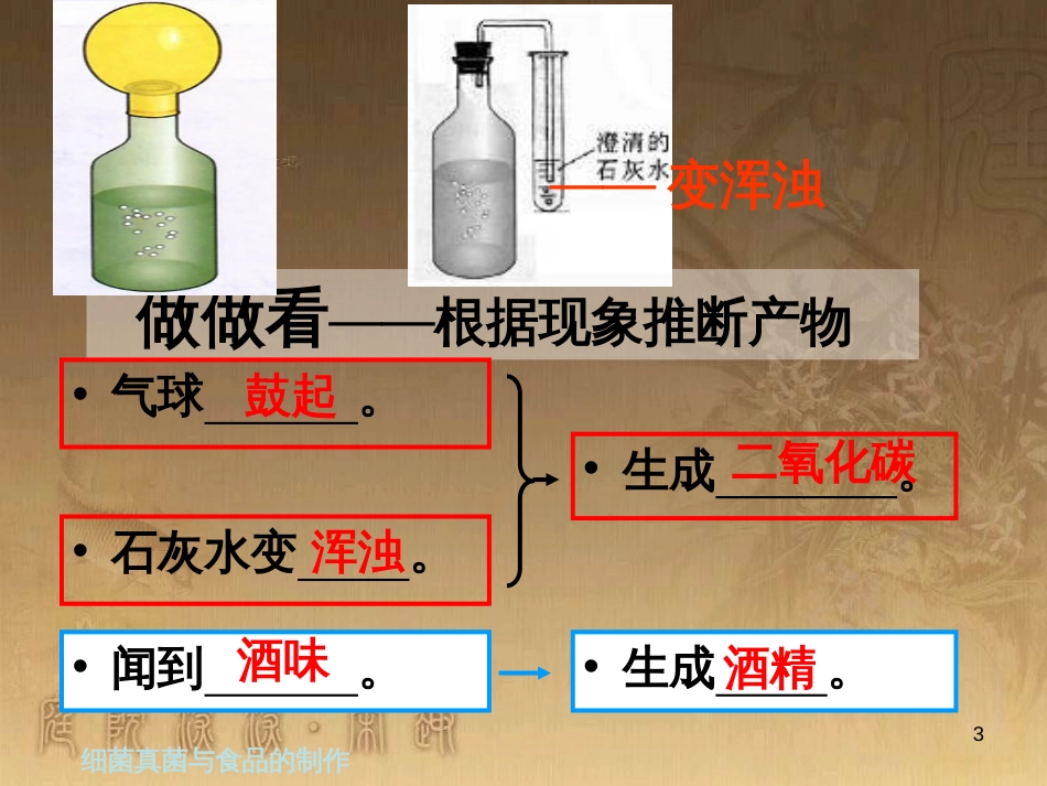 八年级生物上册 5.4.5 人类对细菌和真菌的利用课件 （新版）新人教版 (1)_第3页