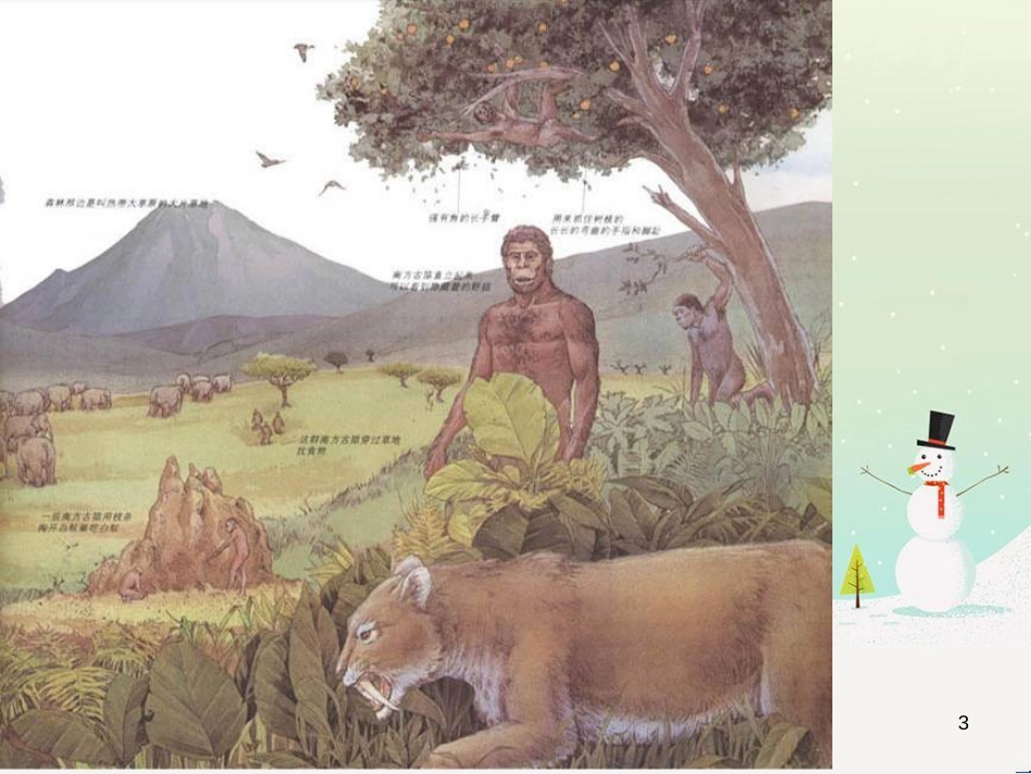 八年级生物下册 13.1 生物的分类课件1 北京版 (923)_第3页