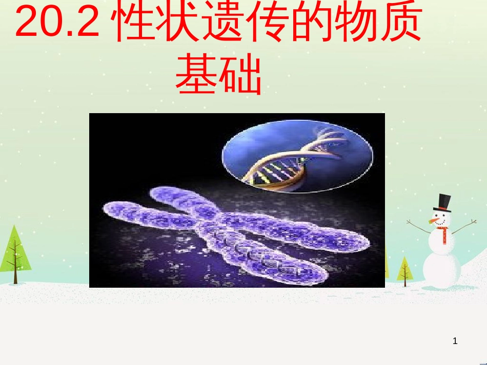 八年级生物上册 20.2《性状遗传的物质基础》课件1 （新版）北师大版_第1页