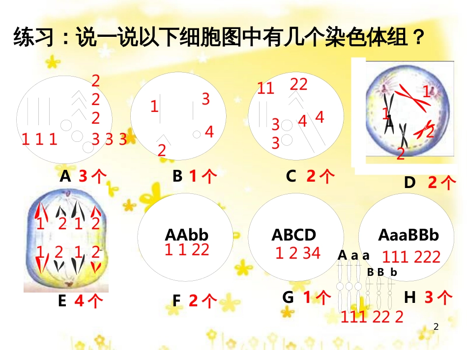 高中生物 5.2 染色体变异课件 新人教版必修2_第2页