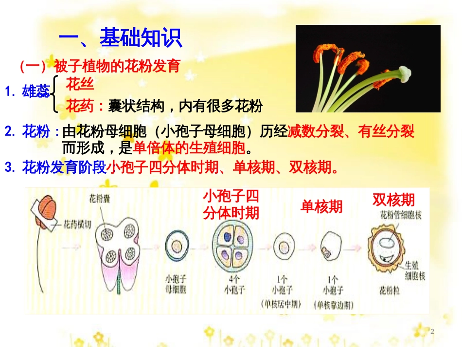 高中生物 专题3 植物的组织培养技术 课题2 月季的花药培养课件 新人教版选修1_第2页