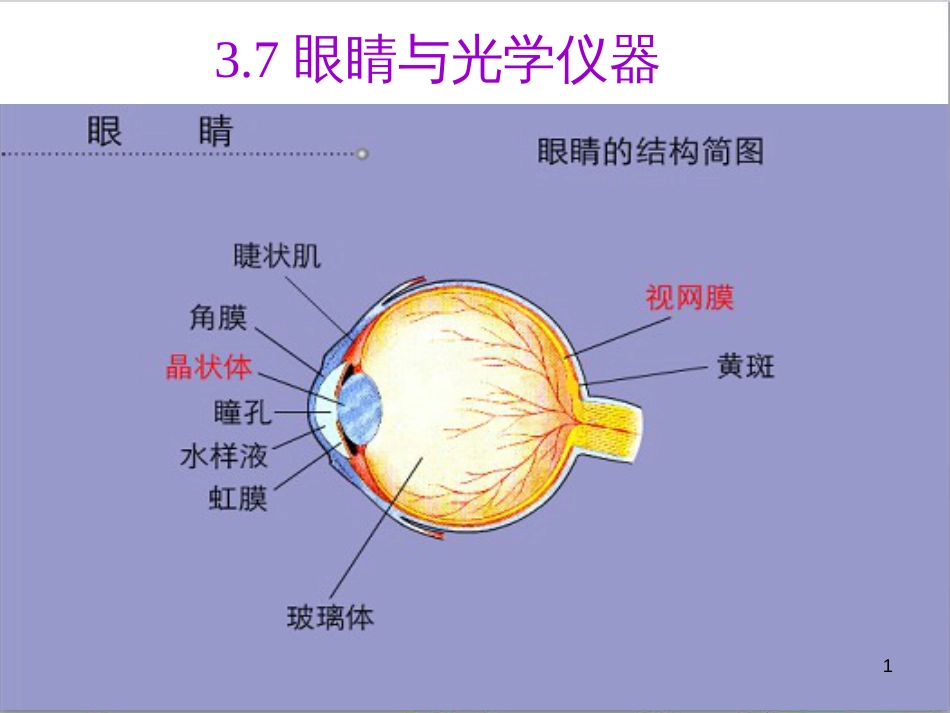 八年级物理上册 3.7 眼睛与光学仪器课件 粤教沪版_第1页