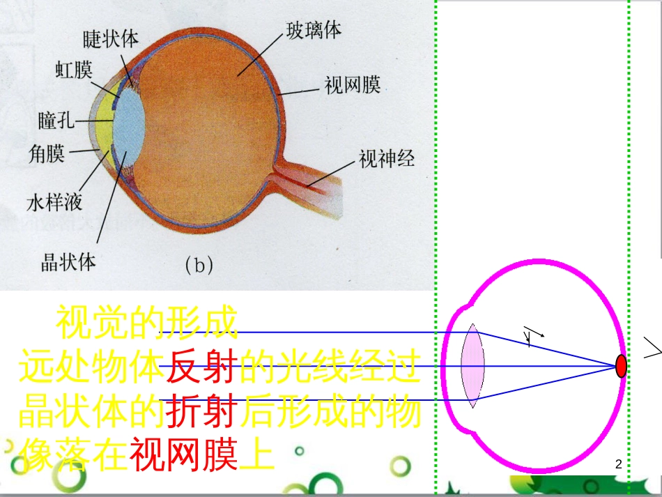 八年级物理上册 3.7 眼睛与光学仪器课件 粤教沪版_第2页