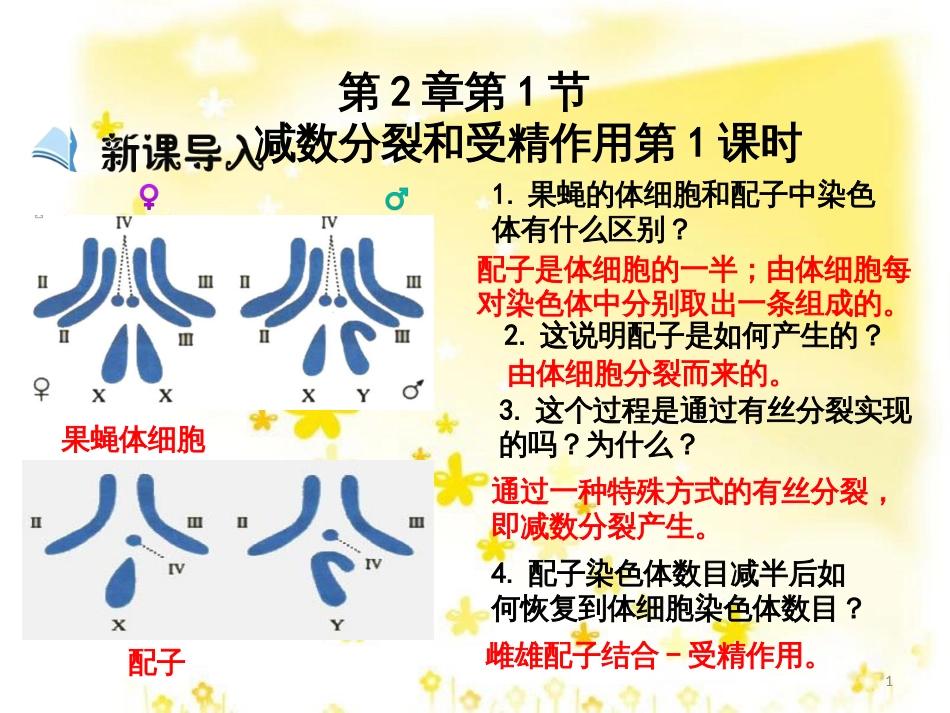 高中生物 第2章 第1节 减数分裂和受精作用（第1课时）课件 新人教版必修2_第1页