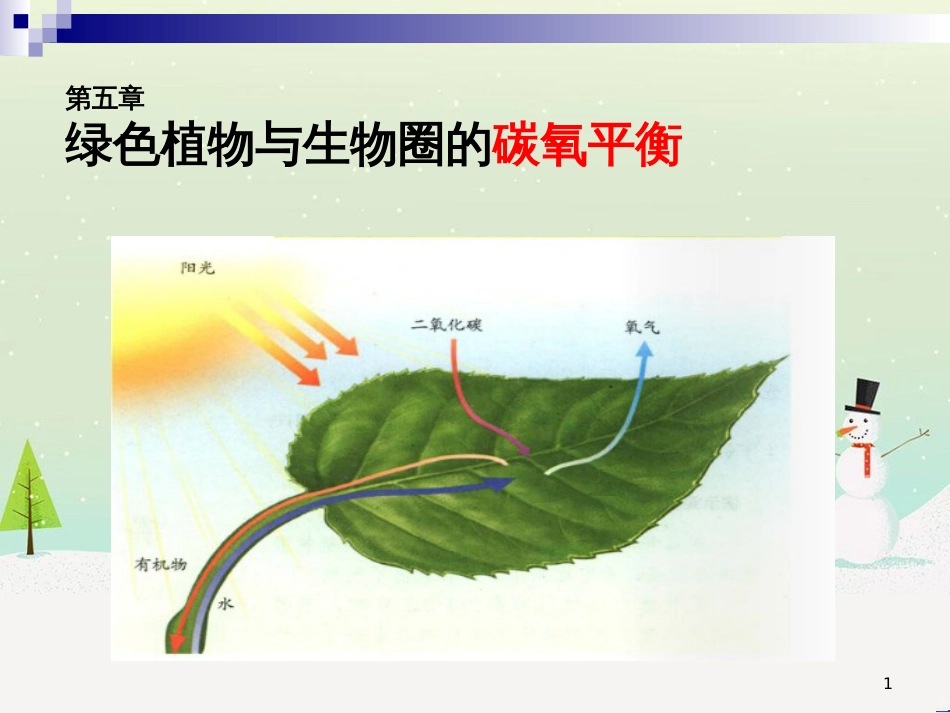 八年级物理上册 1.3《活动降落伞比赛》课件 （新版）教科版 (189)_第1页