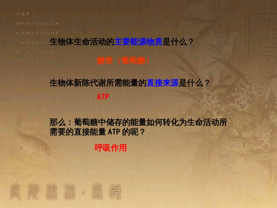 高中生物 5.4 色素提取课件（必修1） (30)_第1页