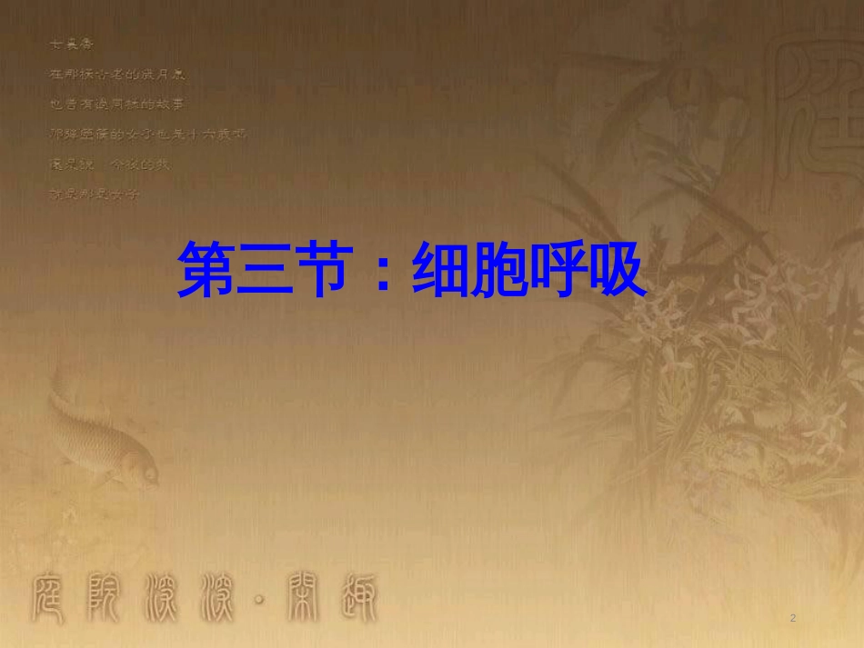 高中生物 5.4 色素提取课件（必修1） (30)_第2页