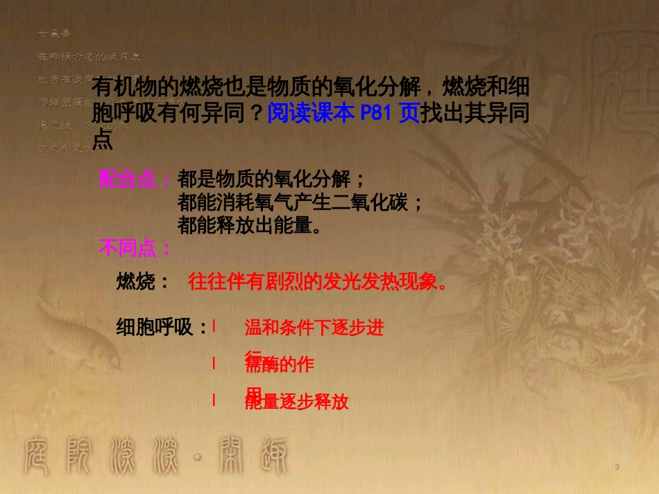 高中生物 5.4 色素提取课件（必修1） (30)_第3页