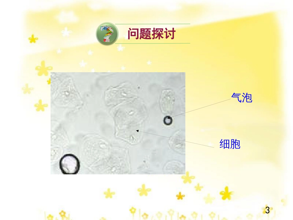 高中生物 第三章 细胞的基本结构 3.1 细胞膜——系统的边界课件 新人教版必修1_第3页