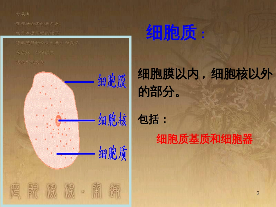 高中生物 5.4 色素提取课件（必修1） (22)_第2页