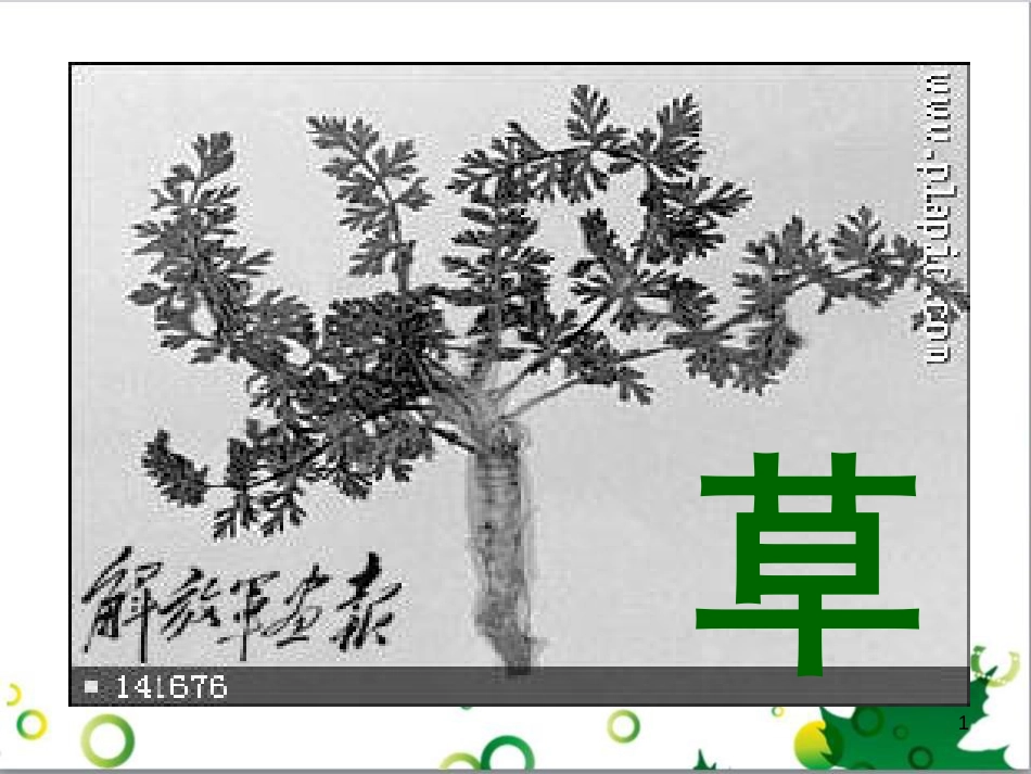 八年级语文上册 4《草》课件 苏教版_第1页