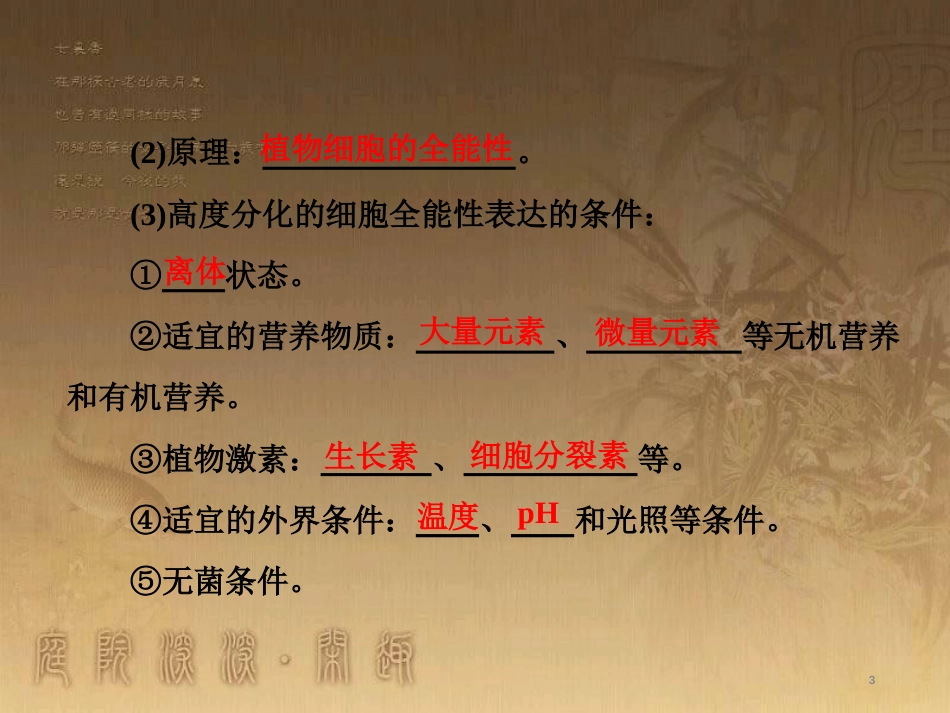 高考生物一轮复习 第二单元 基因的本质与表达 第1讲 DNA是主要的遗传物质课件（必修2） (6)_第3页