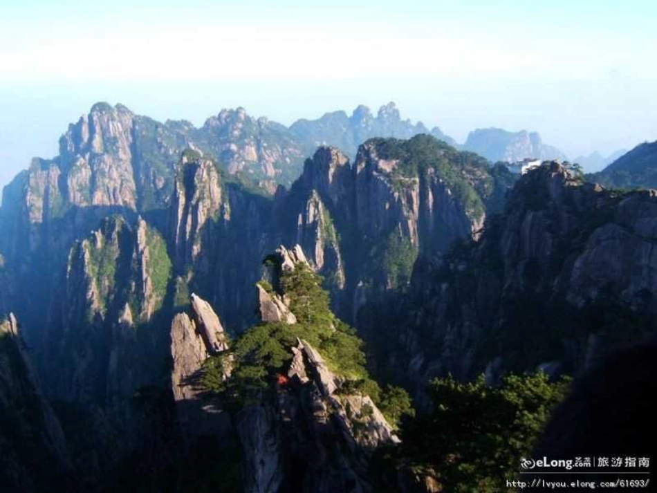 八年级生物下册 13.1 生物的分类课件1 北京版 (235)_第3页