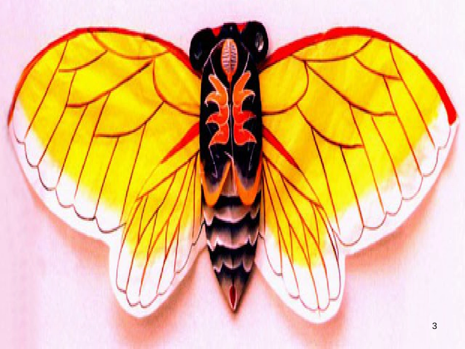 八年级生物下册 13.1 生物的分类课件1 北京版 (143)_第3页