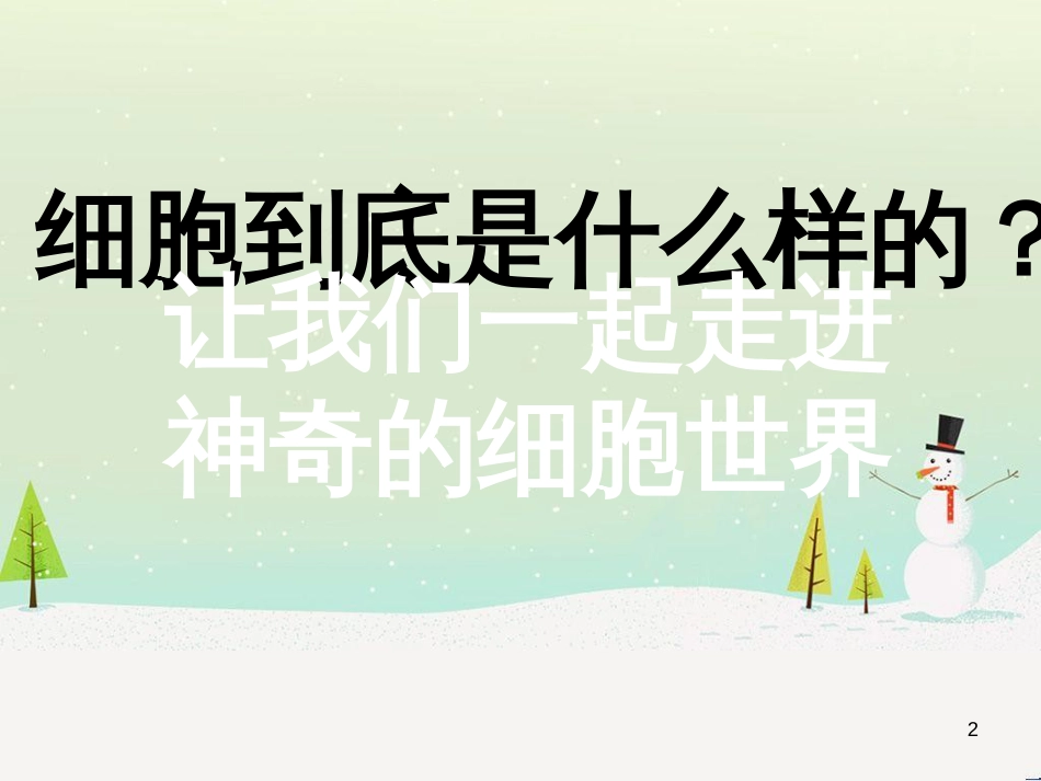 八年级生物上册 5.1.4鱼课件 （新版）新人教版 (4)_第2页