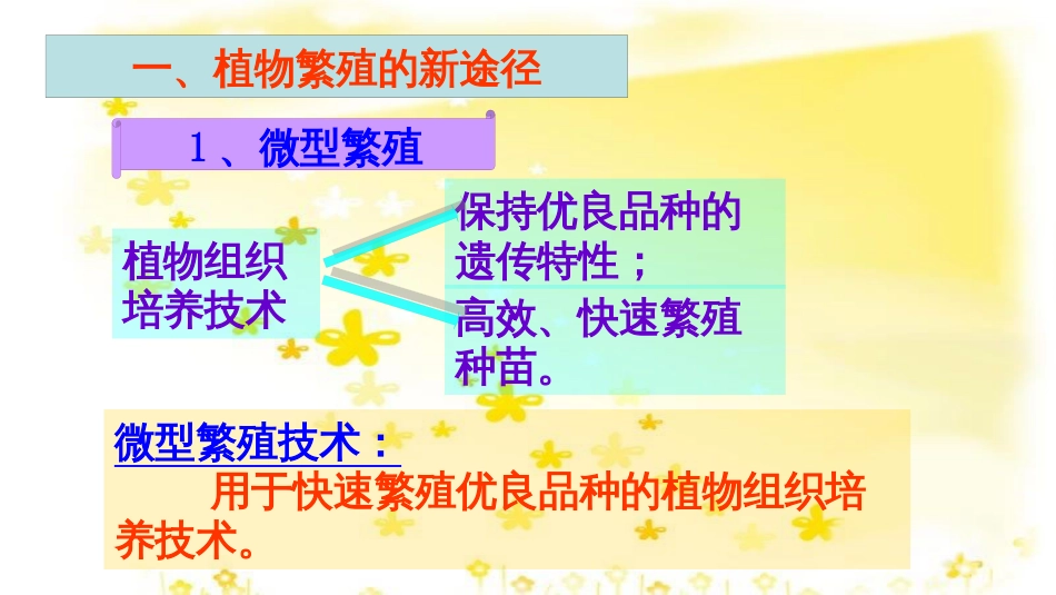 高中生物 专题2 细胞工程 2.2 植物细胞工程的实际应用课件 新人教版选修3_第2页