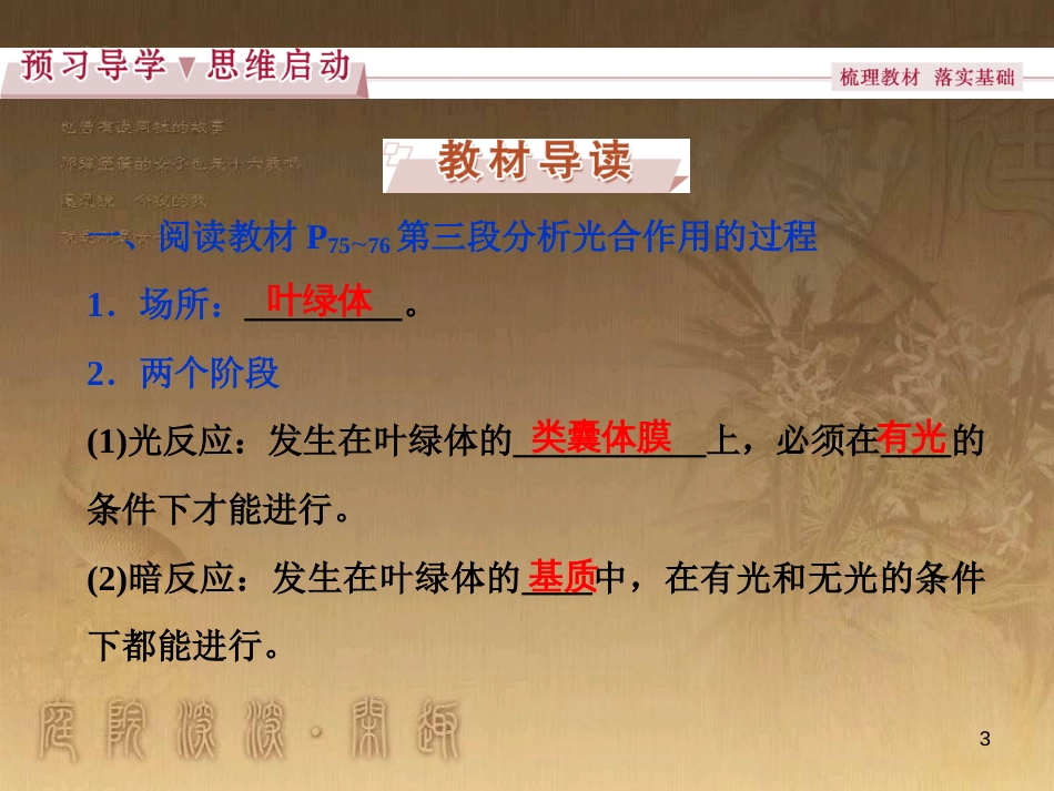 高考语文总复习 第1单元 现代新诗 1 沁园春长沙课件 新人教版必修1 (475)_第3页