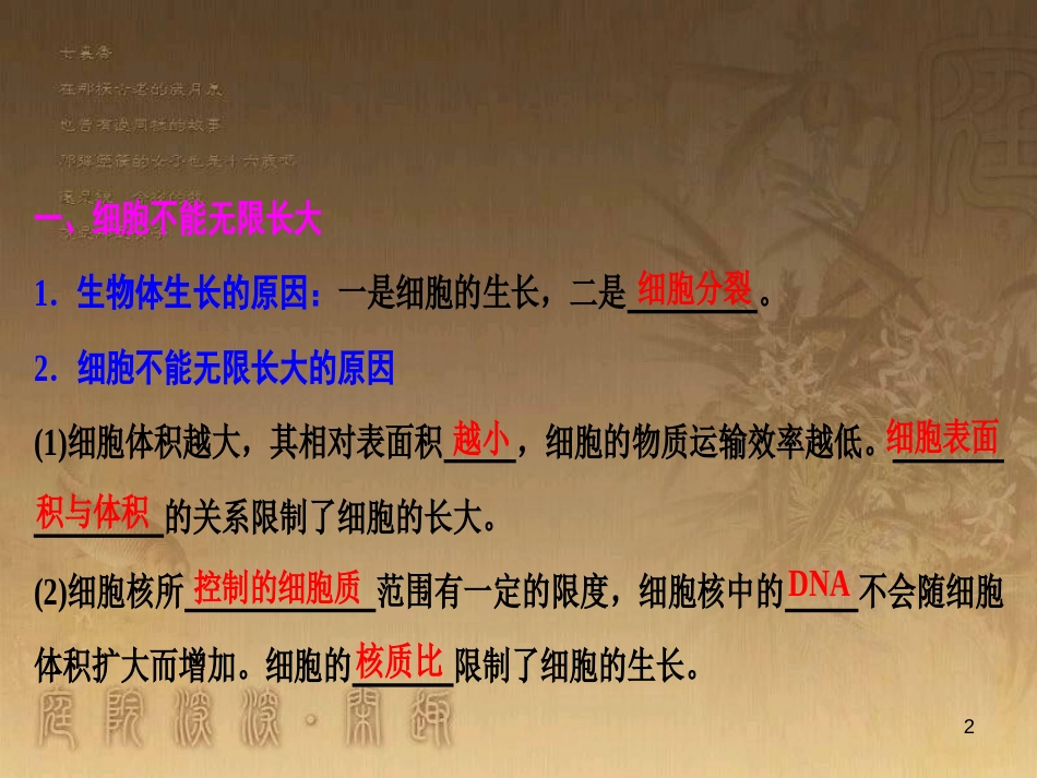 高考生物一轮复习 第八单元 生命活动的调节 第二讲 通过神经系统的调节课件 新人教版 (85)_第2页