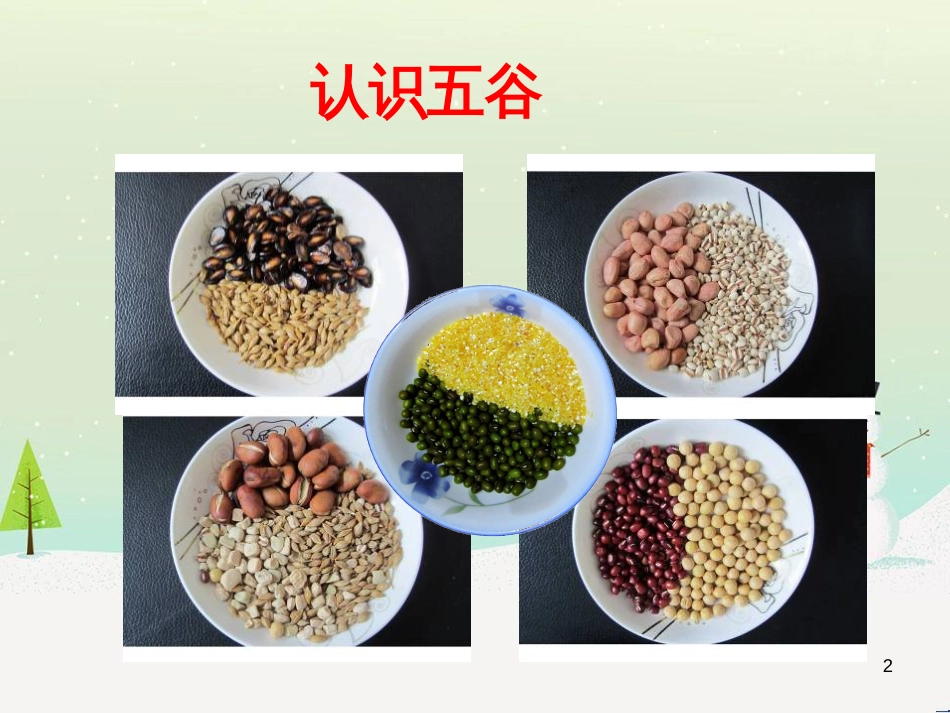 八年级生物下册 13.1 生物的分类课件1 北京版 (400)_第2页