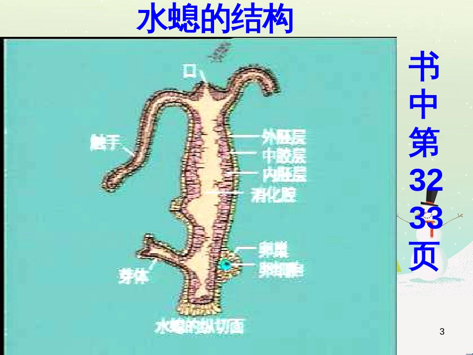八年级生物下册 13.1 生物的分类课件1 北京版 (1297)_第3页