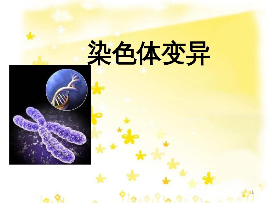 高中生物 染色体变异说课课件 新人教版必修2_第1页